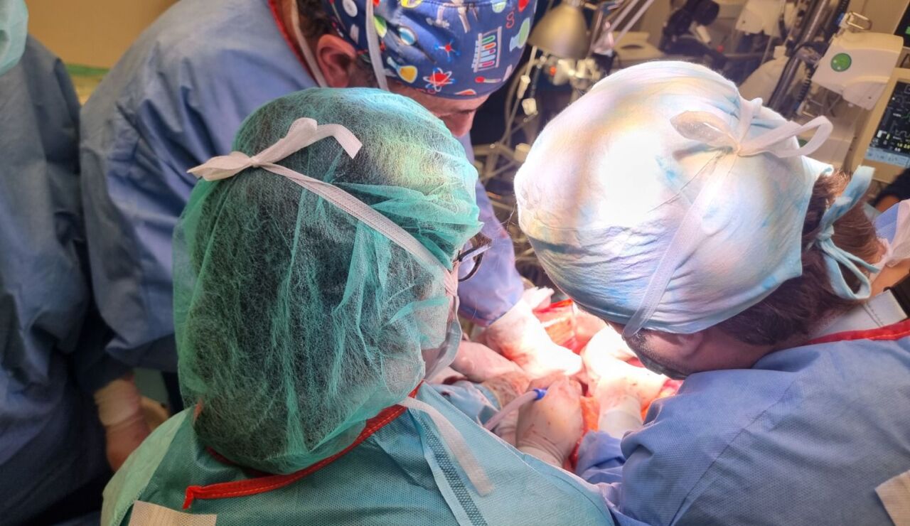 Operaci&oacute;n de trasplante