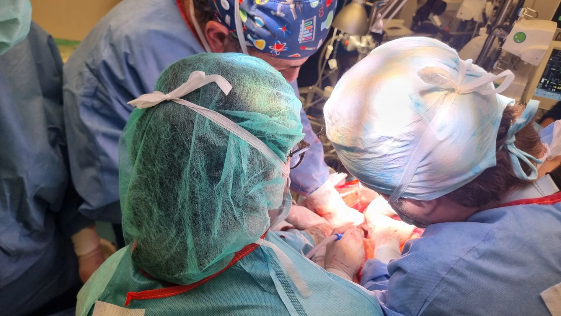 Operación de trasplante Operación de trasplante