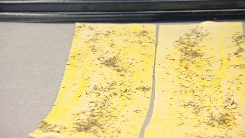 Bate el huevo en un bol, pinta los hojaldres y espolvoréalos con el tomillo