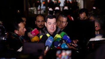 Las posibles causas del accidente.