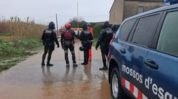 Imagen de los mossos trabajando en las tareas de búsqueda Imagen de los mossos trabajando en las tareas de búsqueda