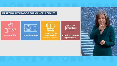 Beatriz de Vicente, derechos afectados Beatriz de Vicente, derechos afectados