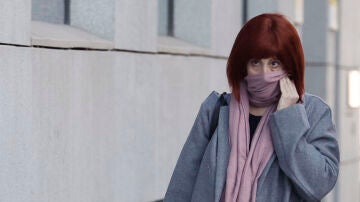  La exmujer del exasesor ministerial Koldo Garc&iacute;a, Patricia &Uacute;riz