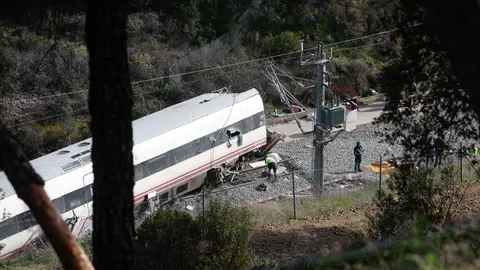Vista del Alvia accidentado, en el lugar de descarrilamiento de los trenes en el accidente ferroviario de Adamuz (Córdoba) Vista del Alvia accidentado, en el lugar de descarrilamiento de los trenes en el accidente ferroviario de Adamuz (Córdoba)