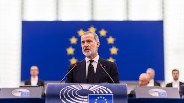 Felipe VI en el Pleno del Parlamento Europeo, en Estrasburgo