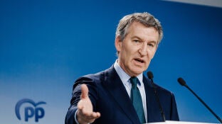 El presidente del Partido Popular, Alberto N&uacute;&ntilde;ez Feij&oacute;o