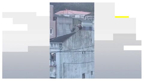 As&iacute; fue el arresto del pederasta V&aacute;zquez Pati&ntilde;o en Galicia