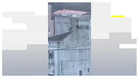 El pederasta Vázquez Patiño intenta agredir a un agente en Galicia Así fue el arresto del pederasta Vázquez Patiño en Galicia