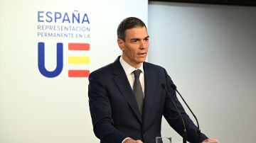 Pedro S&aacute;nchez