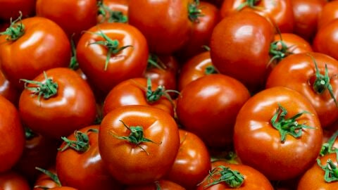 Tomates