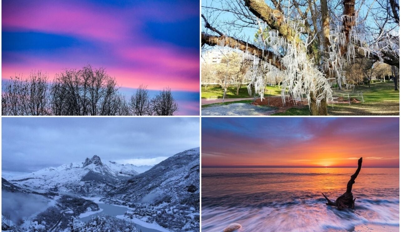 La mejor foto de los espectadores del mes de enero