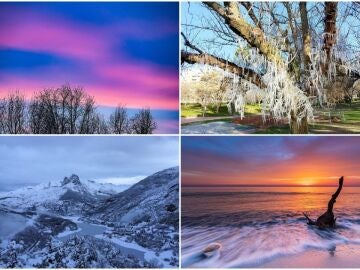 La mejor foto de los espectadores del mes de enero