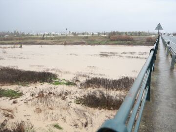 El Guadalquivir, a su paso por la localidad sevillana de Lora del R&iacute;o por los efectos de la borrasca Joseph