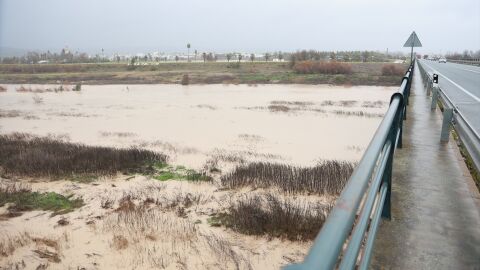 El Guadalquivir, a su paso por la localidad sevillana de Lora del R&iacute;o por los efectos de la borrasca Joseph