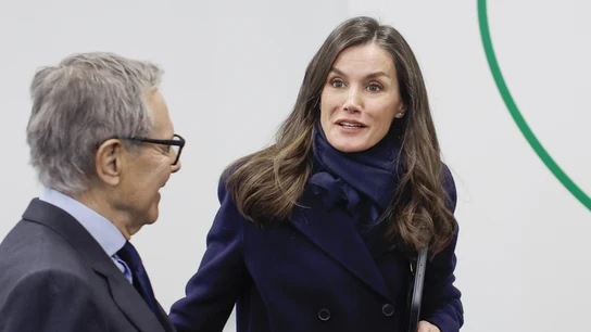 La reina Letizia, en un acto en Madrid La reina Letizia, en un acto en Madrid