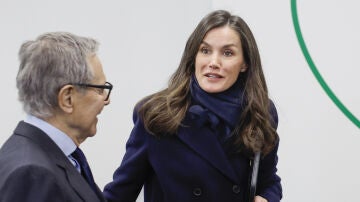La reina Letizia, en un acto en Madrid