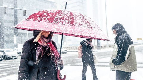 Imagen de archivo de nieve.