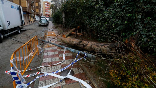 Efectos del paso de la borrasca Kristin a su paso por Granada. &Aacute;LEX C&Aacute;MARA-EUROPA PRESS 28/01/2026