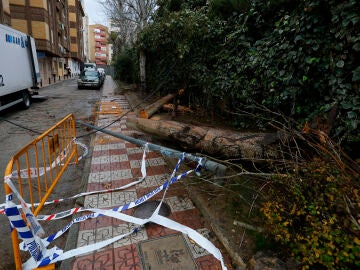 Efectos del paso de la borrasca Kristin a su paso por Granada. &Aacute;LEX C&Aacute;MARA-EUROPA PRESS 28/01/2026