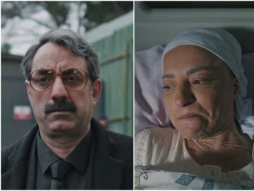 Tayyar y Mezide
