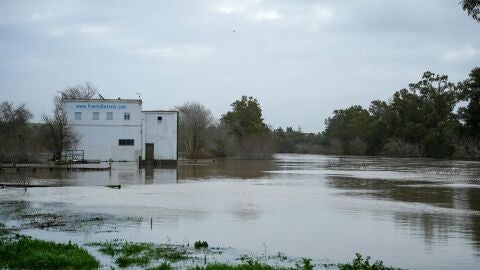 Se mantiene el desalojo de 650 vecinos de la zona rural de Jerez al no bajar el caudal del Guadalete