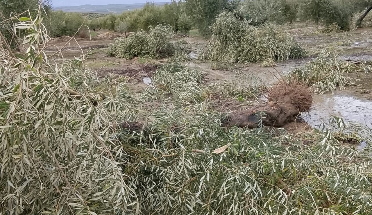 Tornado en Ja&eacute;n