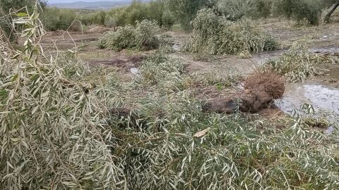 Tornado en Ja&eacute;n