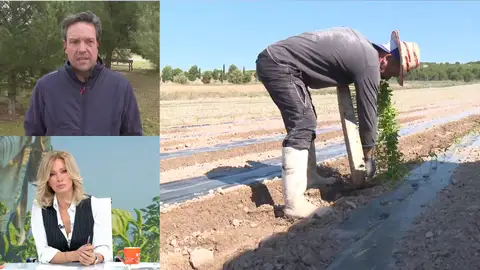 Andrés, agricultor Andrés, agricultor
