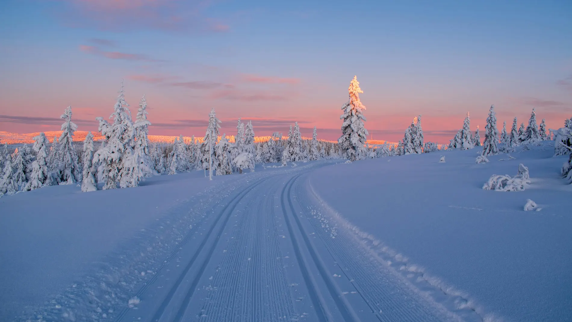 Imagen de un paisaje nevado Imagen de un paisaje nevado