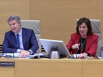 El pique entre Feijóo y la presidenta de la Comisión de la DANA: "Es evidente su estrategia" El pique entre Feijóo y la presidenta de la Comisión de la DANA: "Es evidente su estrategia"