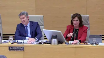 El pique entre Feijóo y la presidenta de la Comisión de la DANA: "Es evidente su estrategia" El pique entre Feijóo y la presidenta de la Comisión de la DANA: "Es evidente su estrategia"