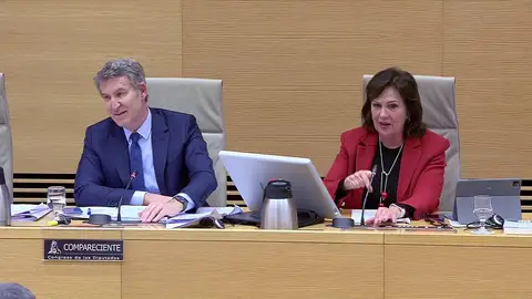 El pique entre Feijóo y la presidenta de la Comisión de la DANA: "Es evidente su estrategia" El pique entre Feijóo y la presidenta de la Comisión de la DANA: "Es evidente su estrategia"