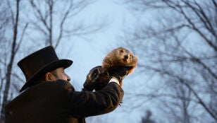 Imagen de archivo de la marmota Phil