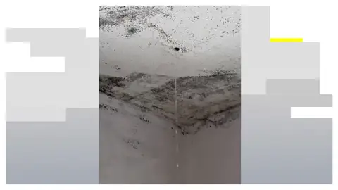 Decenas de vecinos de las Palmas de Gran Canaria desalojados por inundaciones: "El agua entraba en cascada por dentro" Decenas de vecinos de las Palmas de Gran Canaria desalojados por inundaciones: "El agua entraba en cascada por dentro"