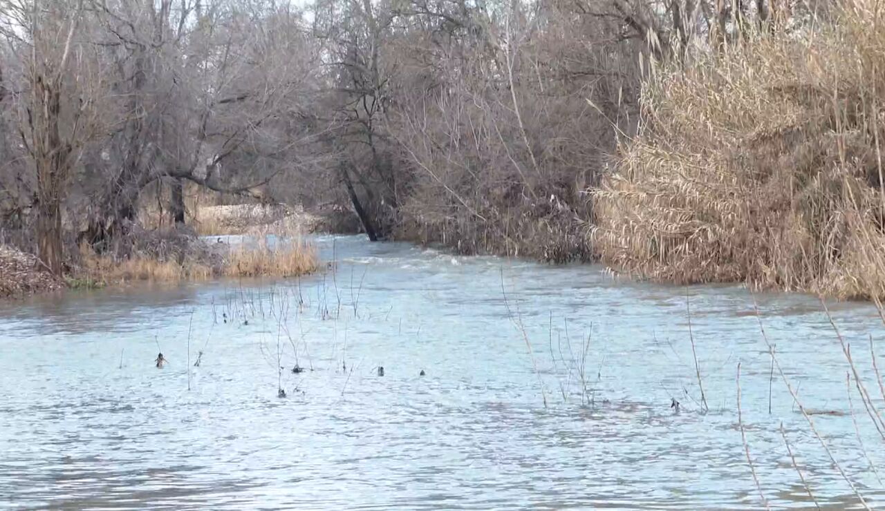 Imagen de la crecida del r&iacute;o Jarama por la borrasca Leonardo