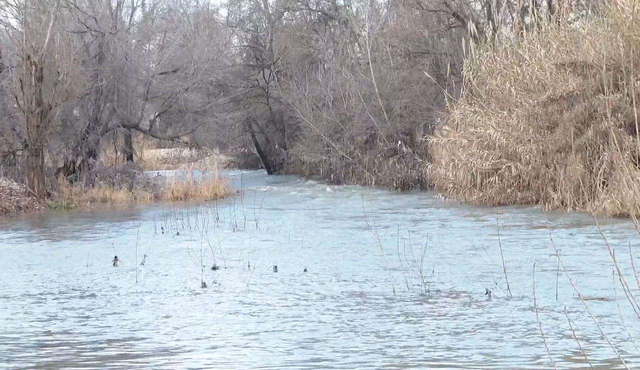 Imagen de la crecida del río Jarama por la borrasca Leonardo