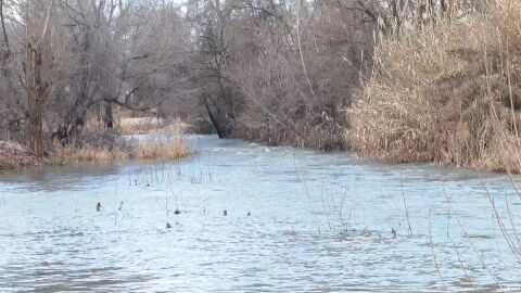 Imagen de la crecida del r&iacute;o Jarama por la borrasca Leonardo