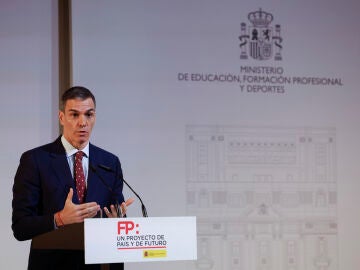 Pedro S&aacute;nchez
