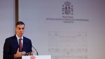 Pedro S&aacute;nchez