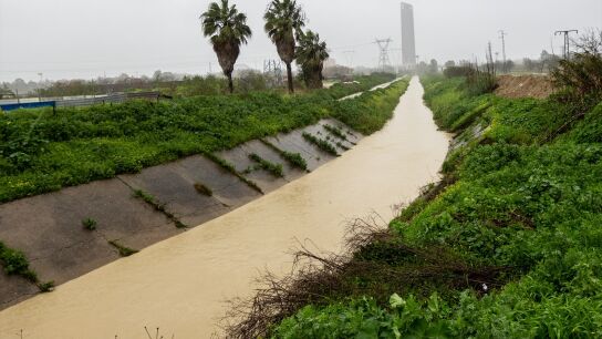 Imagen del desbordamiento parcial del r&iacute;o Guadalquivir a su paso por la Cartuja