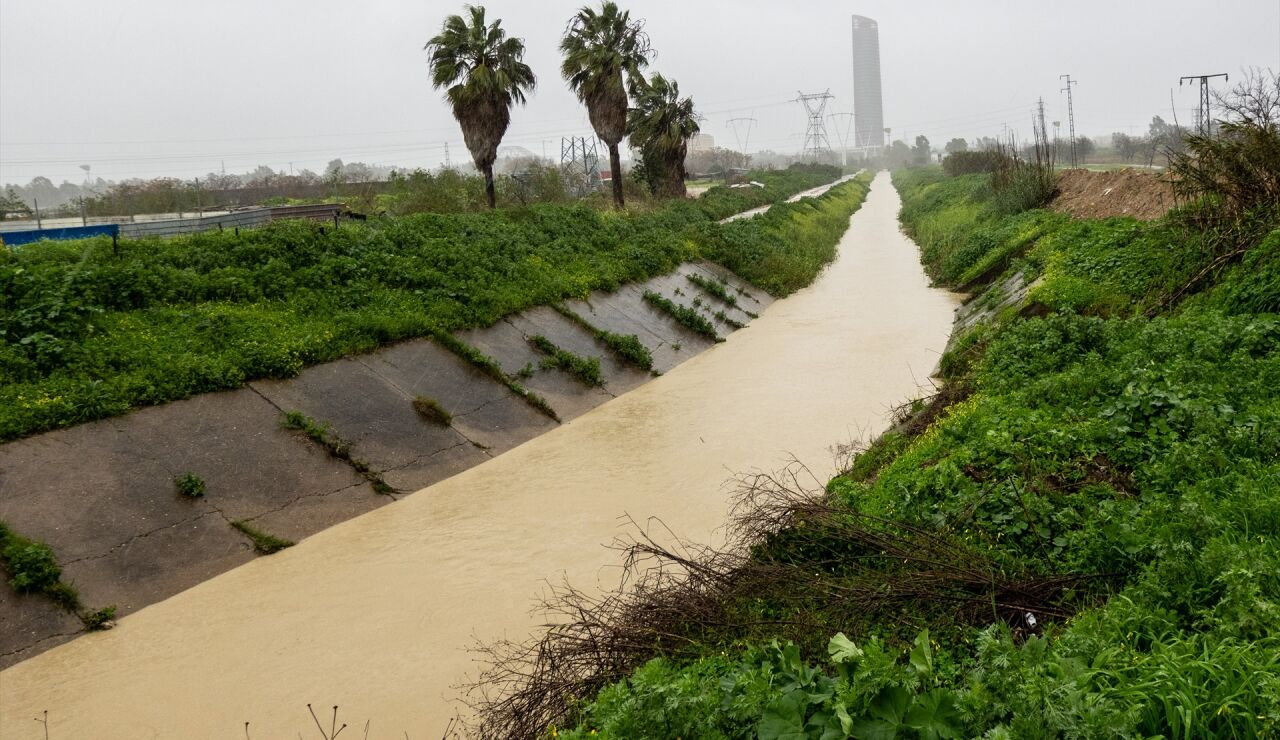 Imagen del desbordamiento parcial del r&iacute;o Guadalquivir a su paso por la Cartuja