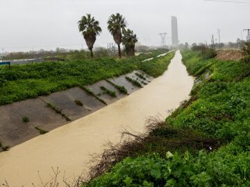 Imagen del desbordamiento parcial del r&iacute;o Guadalquivir a su paso por la Cartuja
