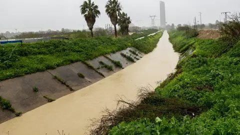 Imagen del desbordamiento parcial del río Guadalquivir a su paso por la Cartuja Imagen del desbordamiento parcial del río Guadalquivir a su paso por la Cartuja