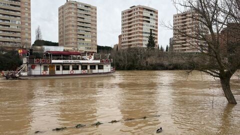 Un tronco arrastrado por la crecida amenaza al barco La Leyenda del Pisuerga y obliga a intervenir a los bomberos