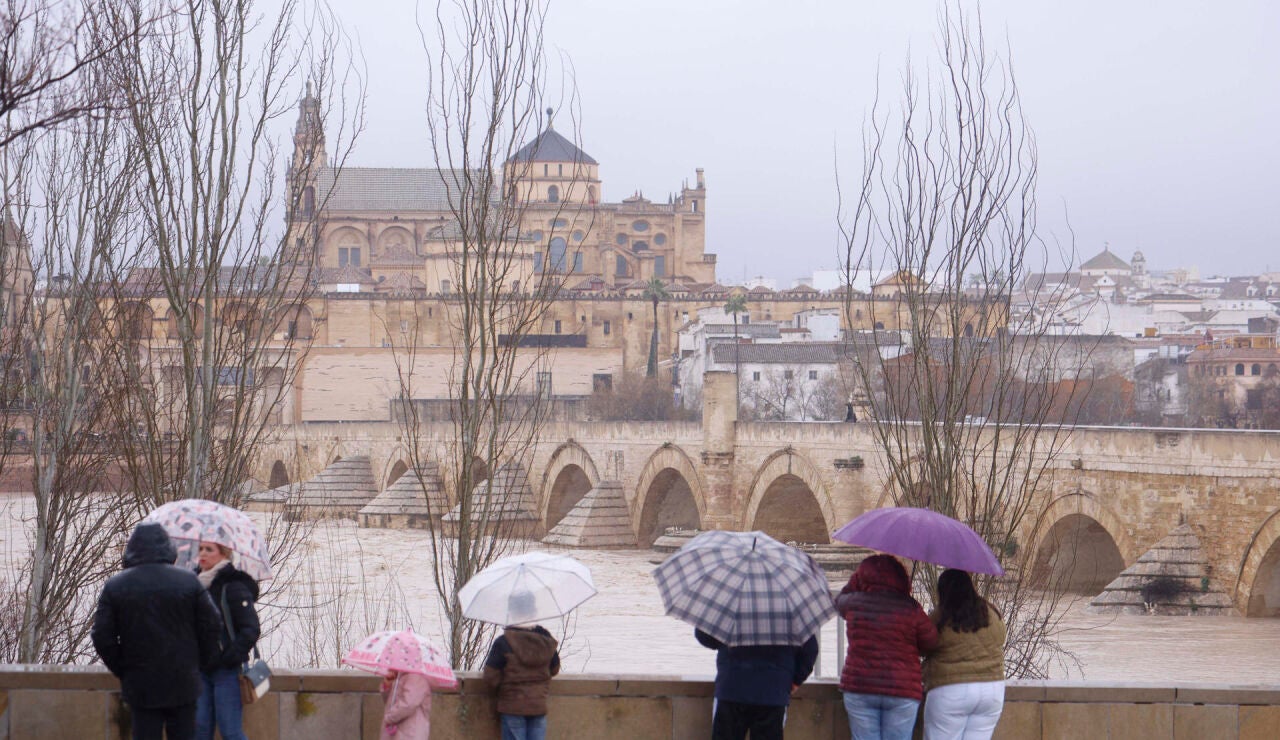 Varias personas observan en C&oacute;rdoba la crecida del r&iacute;o Guadalquivir
