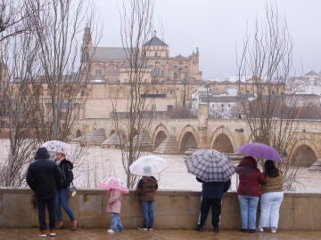 Varias personas observan en C&oacute;rdoba la crecida del r&iacute;o Guadalquivir