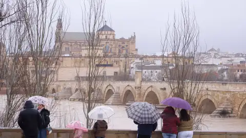 Varias personas observan en Córdoba la crecida del río Guadalquivir 24e8b2ea617478c70b0ffc63db91f883b48c101fw
