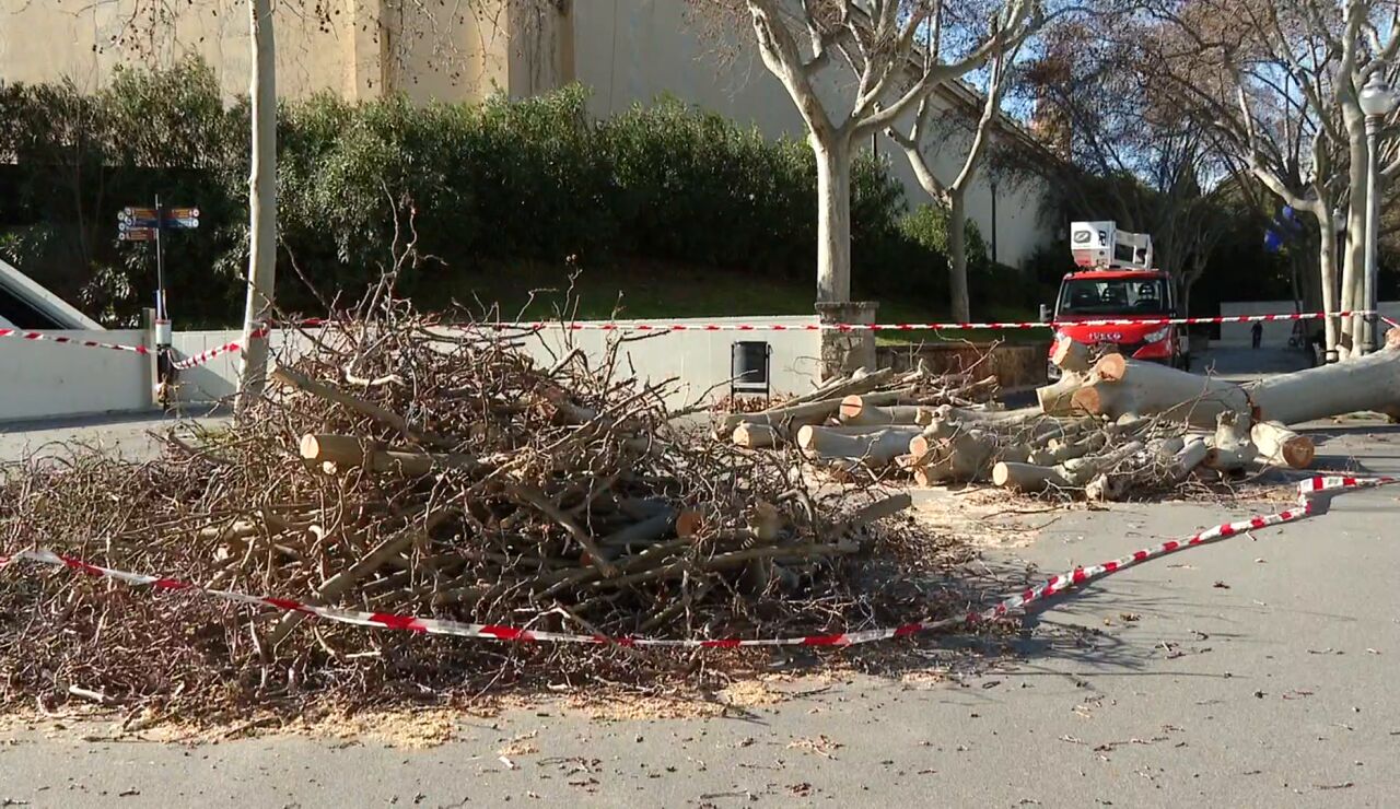 Temporal en Catalu&ntilde;a 