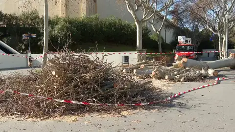 Temporal en Cataluña Antena3 Noticias