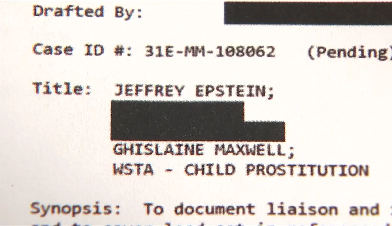 Papeles caso Epstein